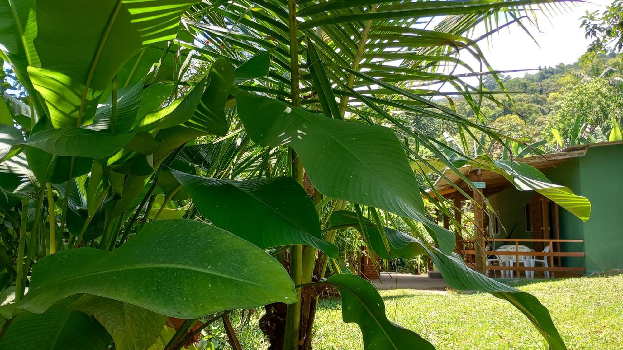 Cantinho Do Sossego - Sertao Da Da Fazenda Ubatuba